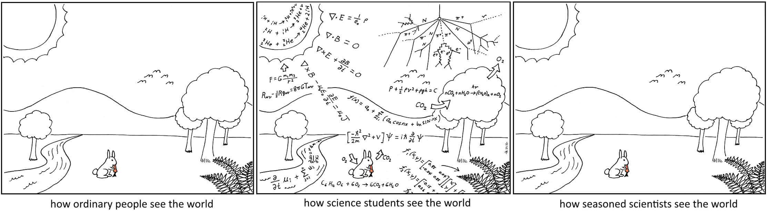 Student vs seasoned student